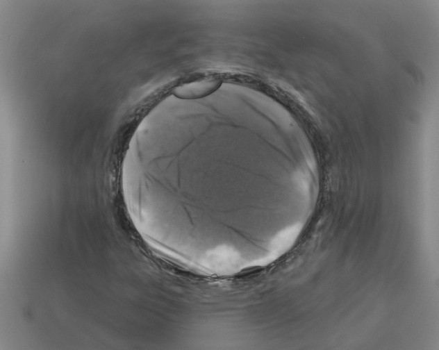 X0000112801303200910021112