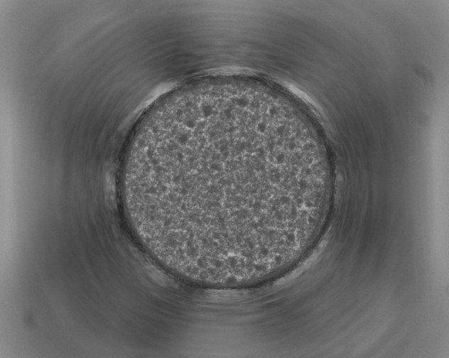 X0000112801305200910021112