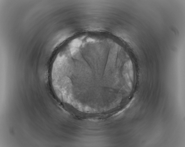 X0000112801306200910021112