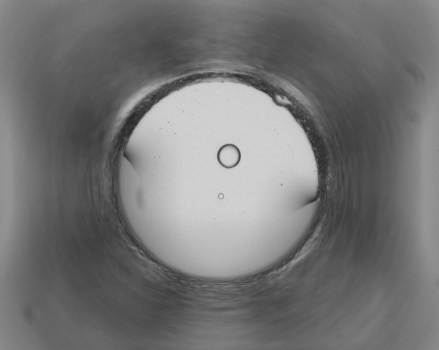 X0000112801310200910021112