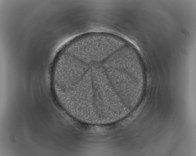 X0000112801311200910021112