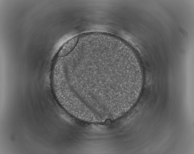 X0000112801312200910021112