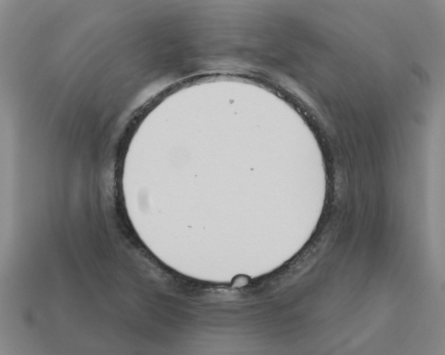 X0000112801315200910021112