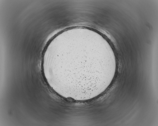 X0000112801316200910021112
