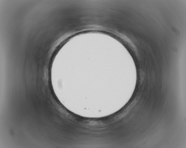 X0000112801318200910021112