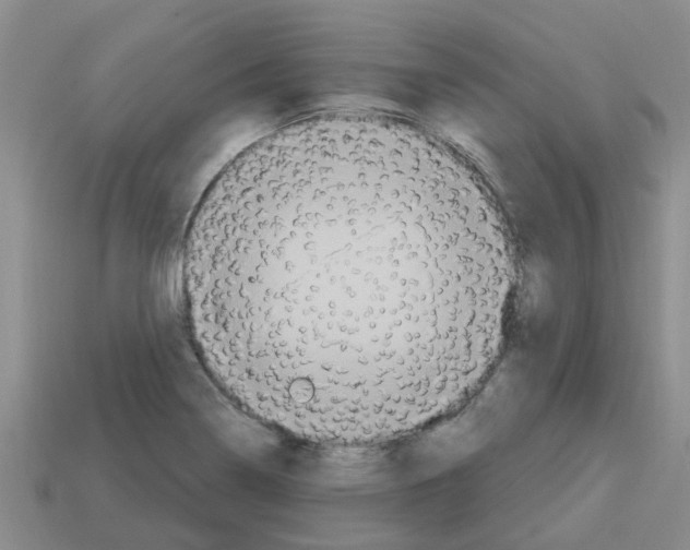 X0000112801322200910021112