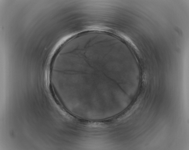 X0000112801323200910021112