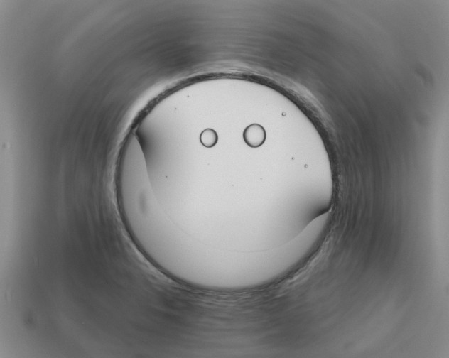X0000112801326200910021112