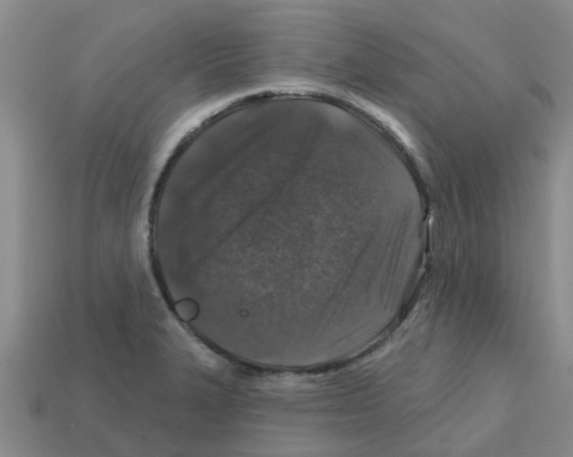 X0000112801327200910021112