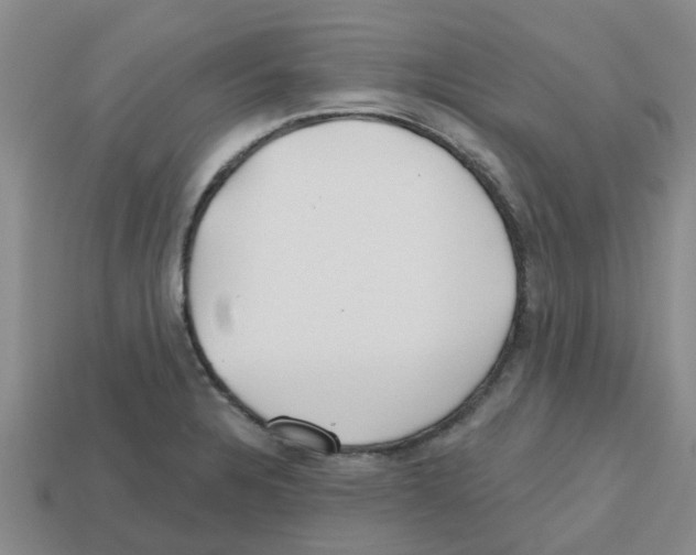 X0000112801328200910021112