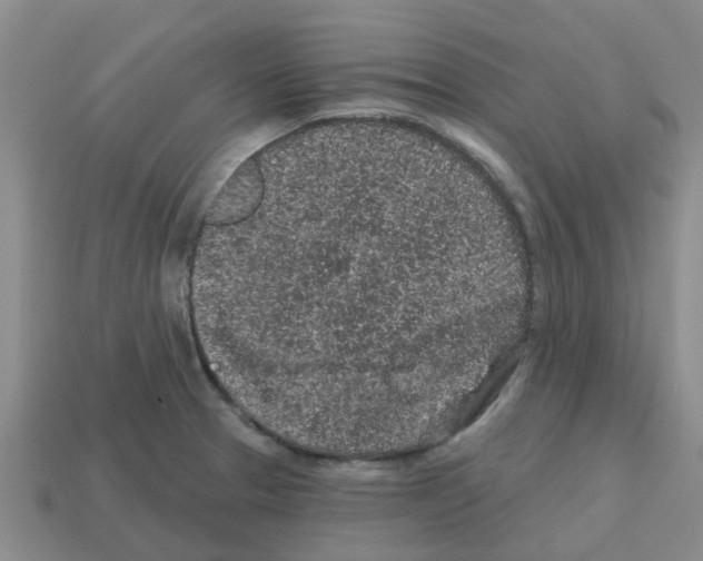 X0000112801329200910021112