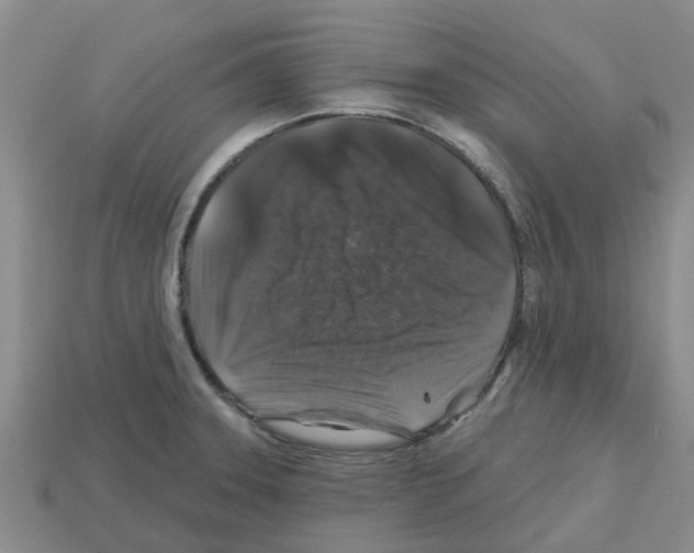 X0000112801331200910021112