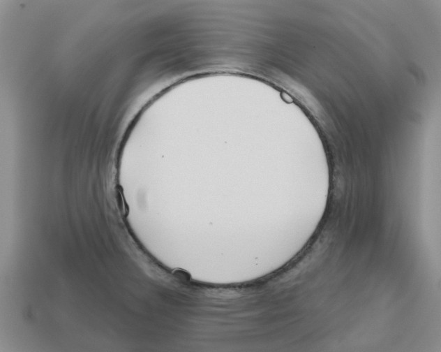 X0000112801332200910021112