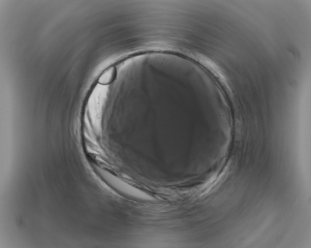 X0000112801334200910021112