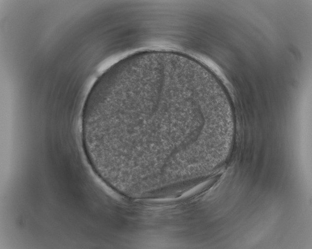 X0000112801335200910021112