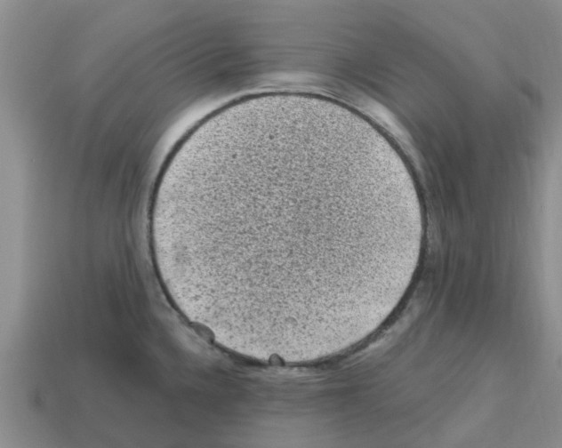 X0000112801336200910021112