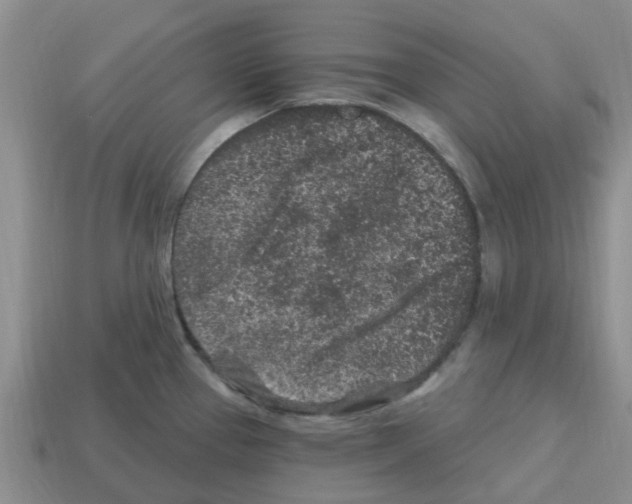 X0000112801337200910021112