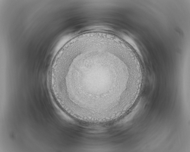 X0000112801338200910021112