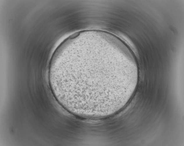 X0000112801340200910021112