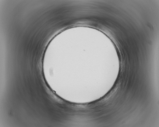 X0000112801341200910021112