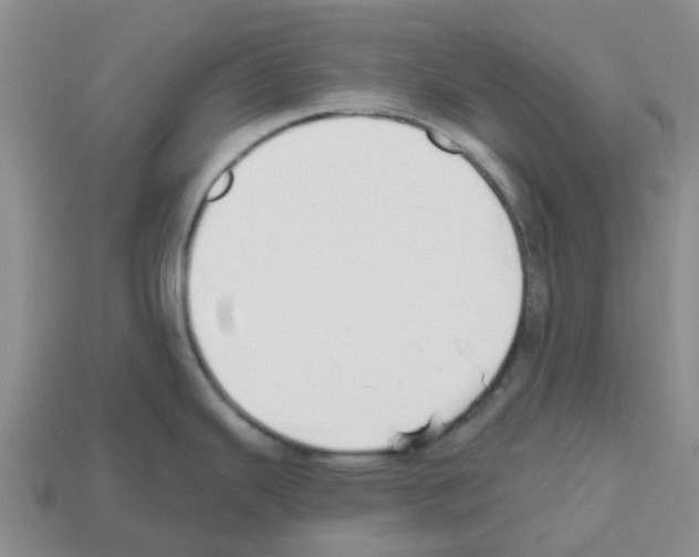 X0000112801343200910021112