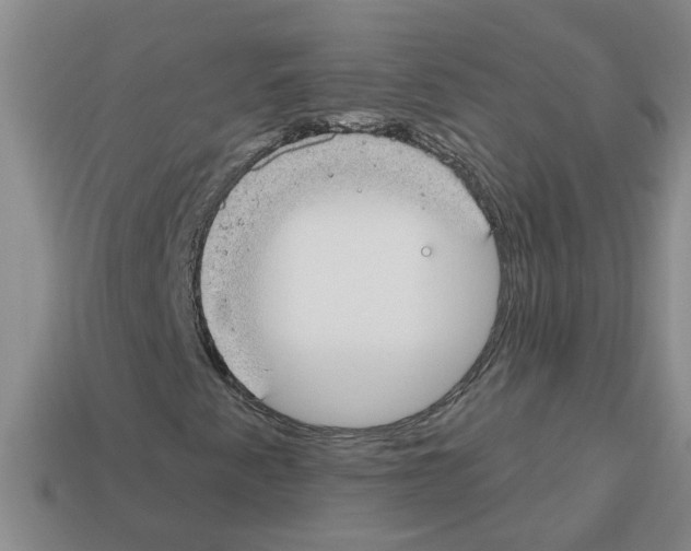 X0000112801345200910021112