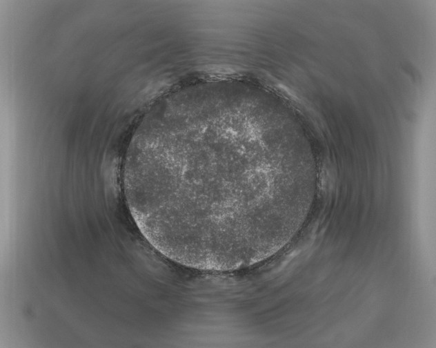 X0000112801346200910021112
