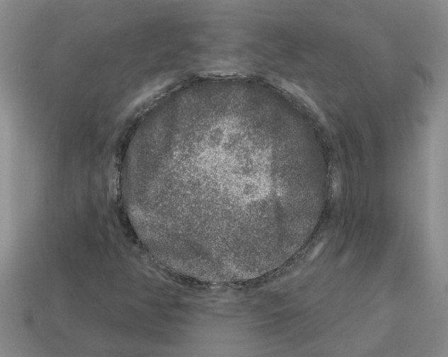 X0000112801350200910021112