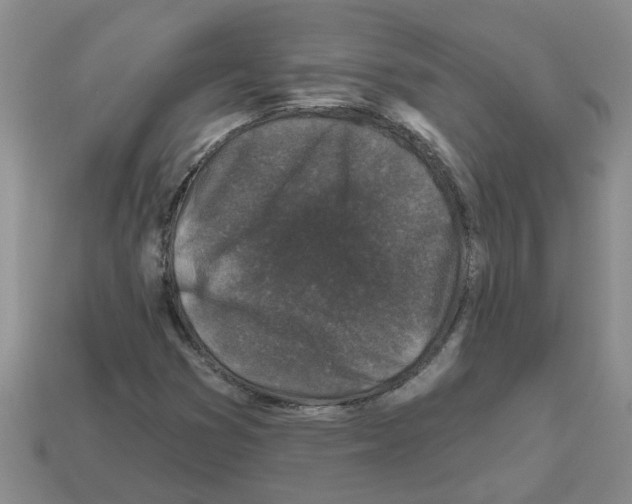X0000112801353200910021112