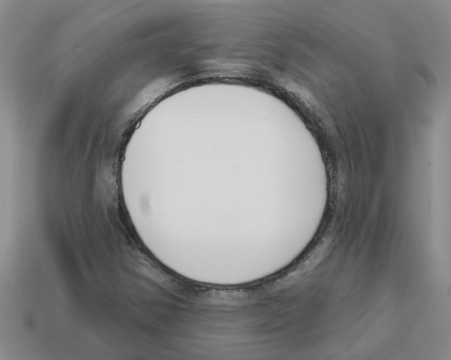 X0000112801354200910021112