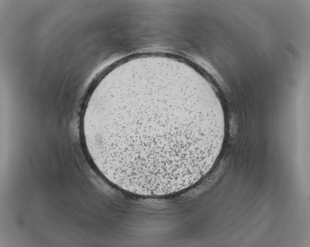 X0000112801356200910021112