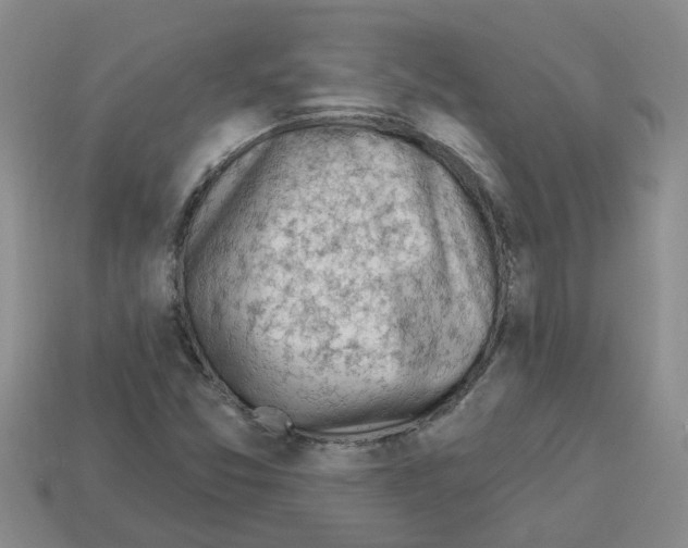 X0000112801357200910021112