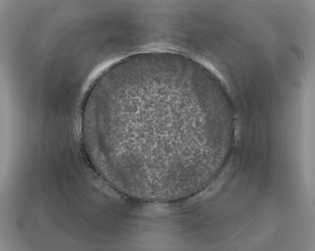 X0000112801358200910021111