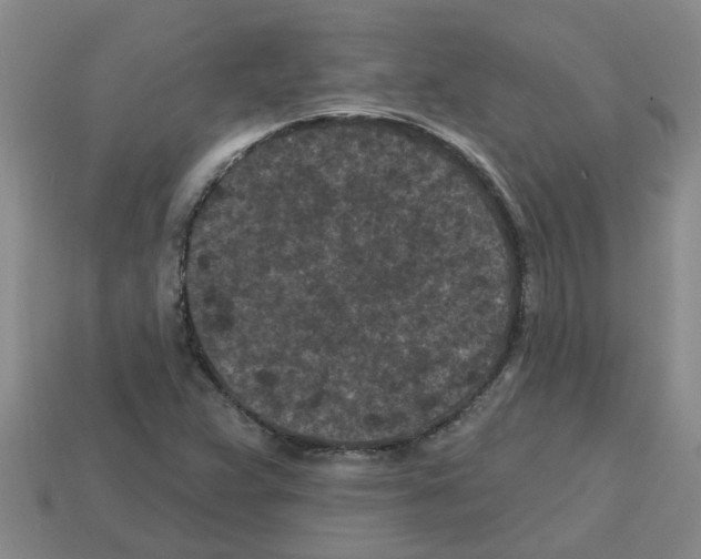 X0000112801359200910021111