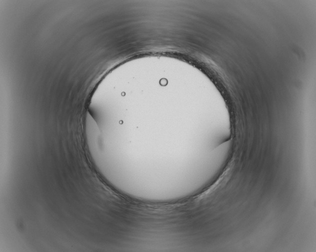 X0000112801361200910021111