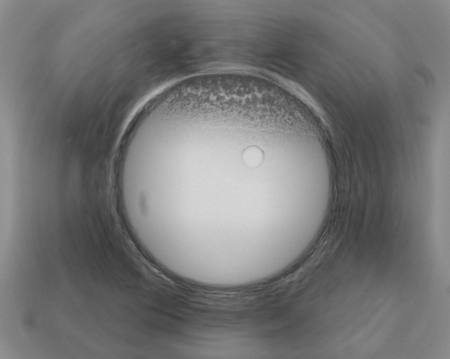 X0000112801364200910021111