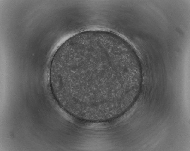 X0000112801367200910021111
