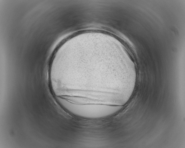 X0000112801368200910021111