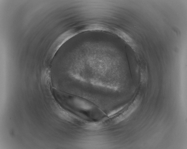 X0000112801369200910021111