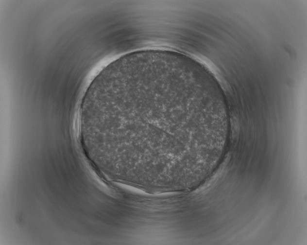 X0000112801371200910021111