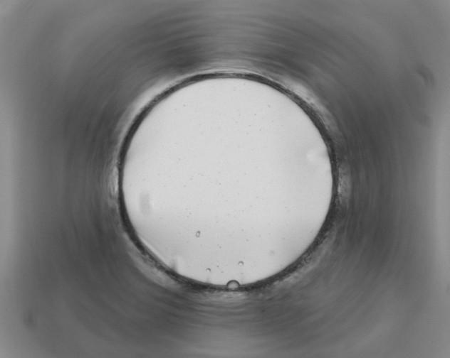 X0000112801372200910021111