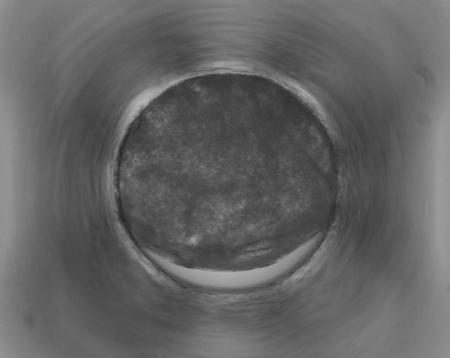 X0000112801373200910021111