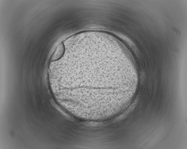 X0000112801374200910021111