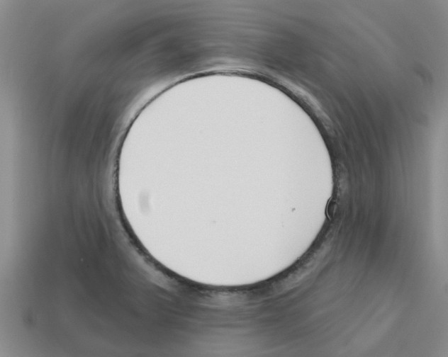 X0000112801375200910021111