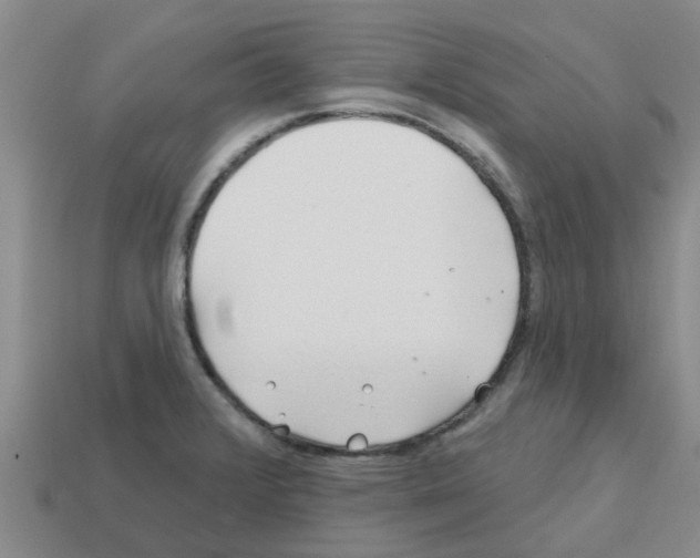 X0000112801376200910021111