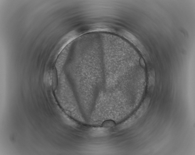 X0000112801377200910021111