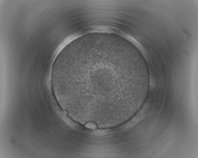 X0000112801378200910021111