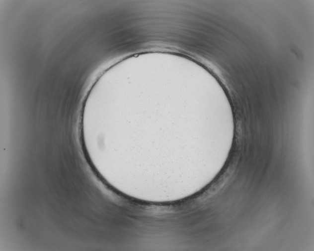 X0000112801379200910021111