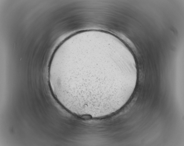 X0000112801380200910021111