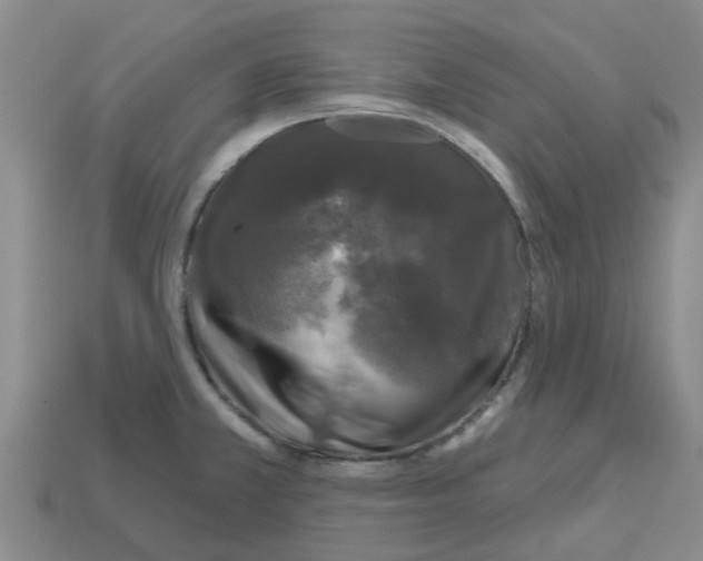 X0000112801381200910021111